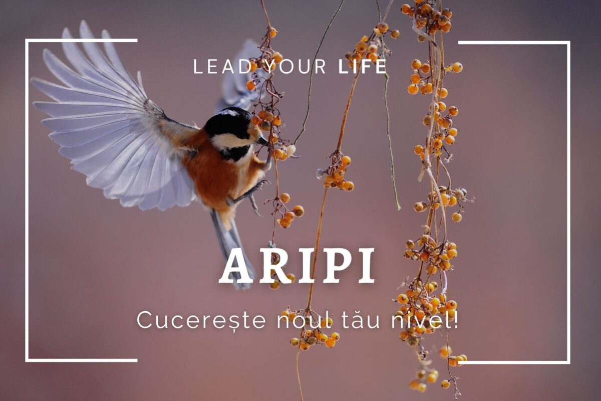 ARIPI