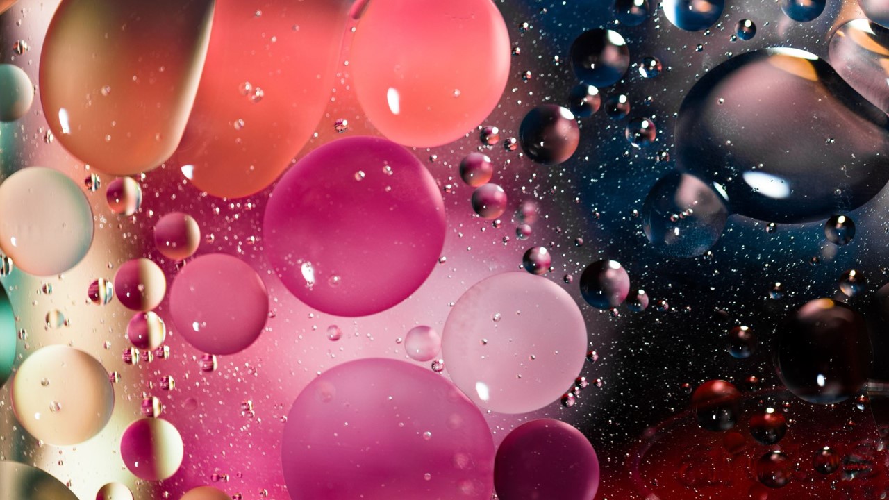 Lead Your Life Center